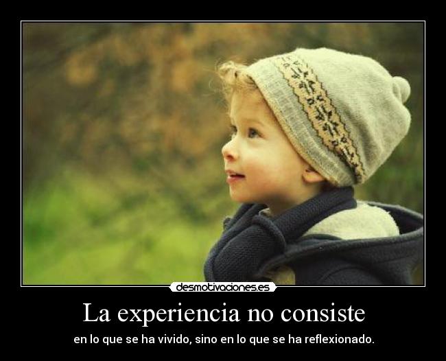 La experiencia no consiste -