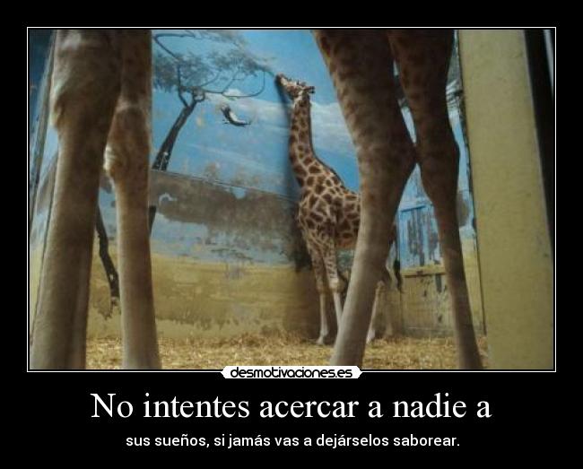 No intentes acercar a nadie a - 