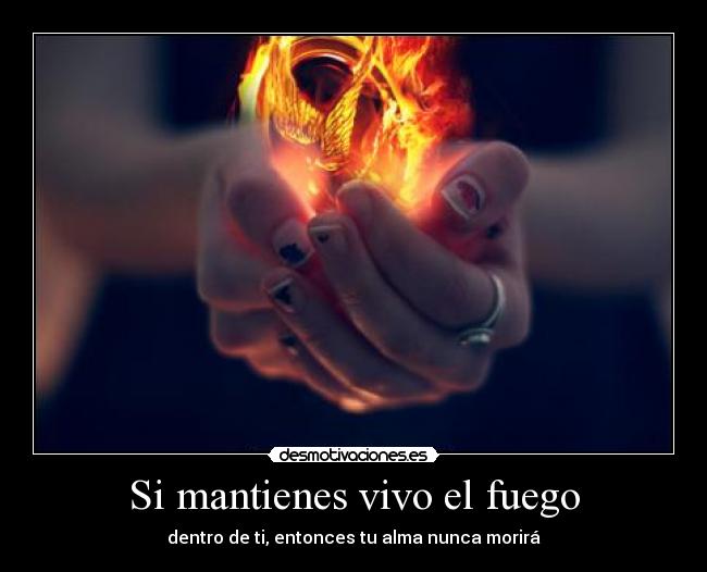 carteles fuego alma thehungergames losjuegosdelhambre sinsajo mockingjay desmotivaciones