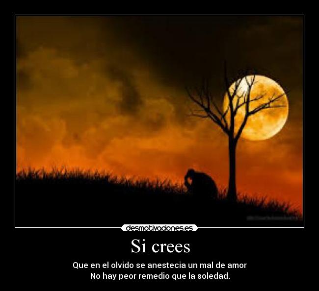 Si crees - Que en el olvido se anestecia un mal de amor
No hay peor remedio que la soledad.
