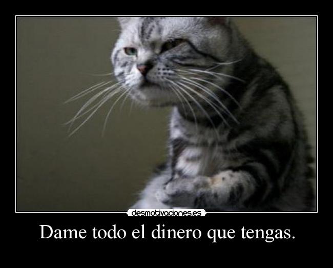 Dame todo el dinero que tengas. - 
