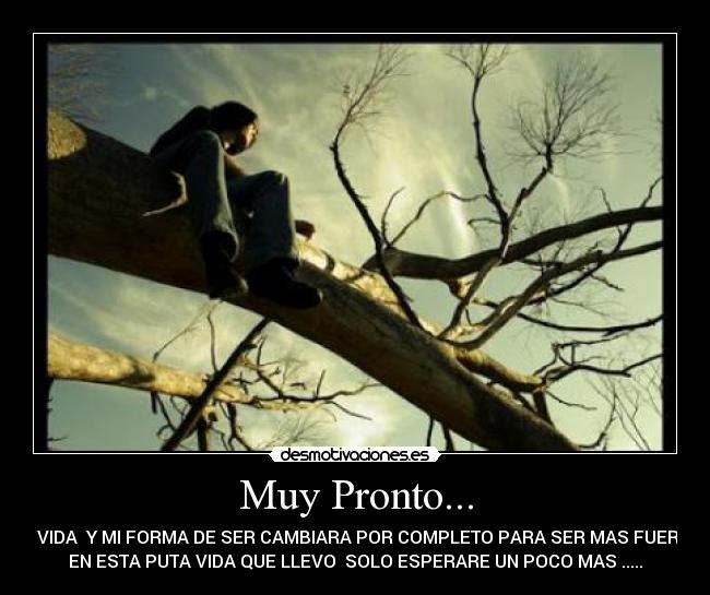 Muy Pronto... - MI VIDA  Y MI FORMA DE SER CAMBIARA POR COMPLETO PARA SER MAS FUERTE
EN ESTA PUTA VIDA QUE LLEVO  SOLO ESPERARE UN POCO MAS .....