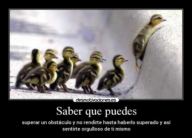 carteles patos que superan sus dificultades desmotivaciones