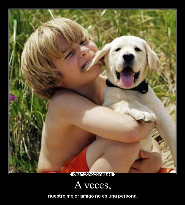 A veces, - nuestro mejor amigo no es una persona.