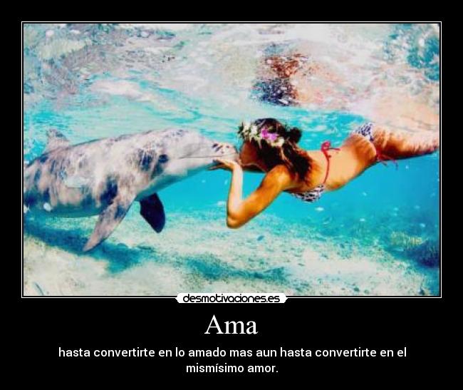 Ama - hasta convertirte en lo amado mas aun hasta convertirte en el mismísimo amor.