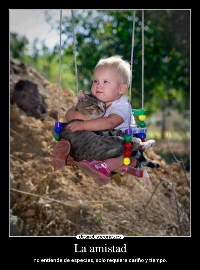 La amistad - 