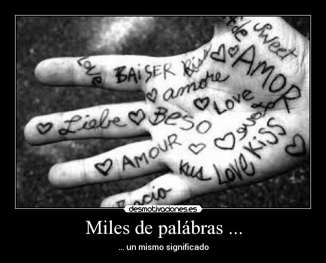 Miles de palábras ... - ... un mismo significado