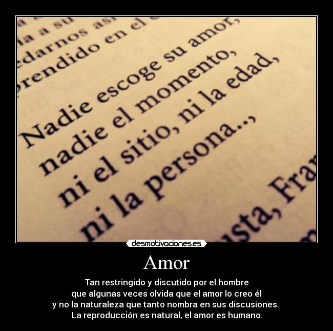 Amor -