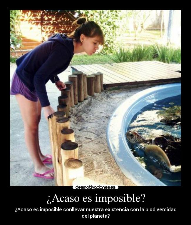 ¿Acaso es imposible? - ¿Acaso es imposible conllevar nuestra existencia con la biodiversidad del planeta?