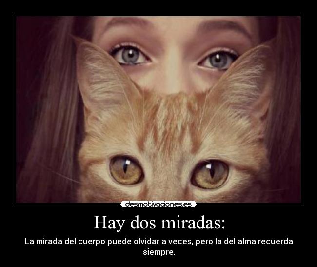 Hay dos miradas: - La mirada del cuerpo puede olvidar a veces, pero la del alma recuerda siempre.