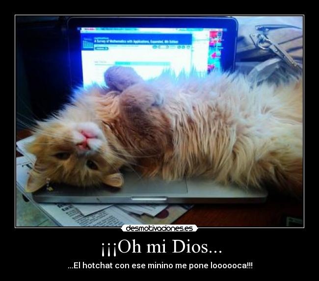 carteles dios hotchat facebook computadora gata minino poner loca dios desmotivaciones
