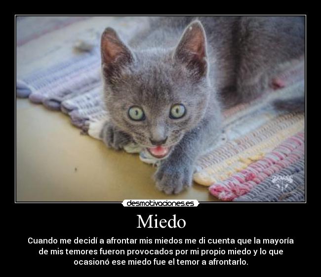 Miedo - Cuando me decidí a afrontar mis miedos me di cuenta que la mayoría
de mis temores fueron provocados por mi propio miedo y lo que
ocasionó ese miedo fue el temor a afrontarlo.