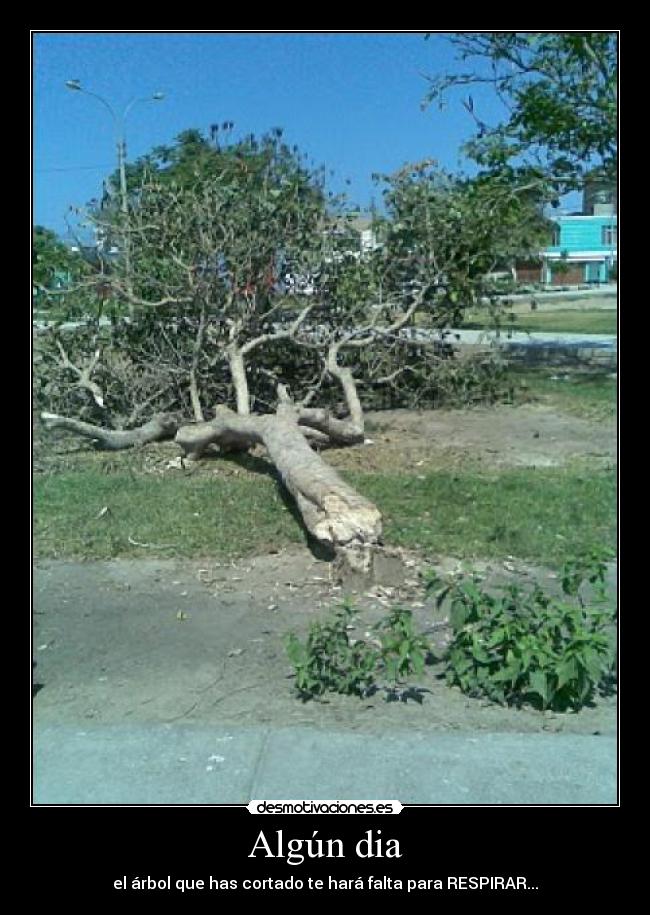 Algún dia - el árbol que has cortado te hará falta para RESPIRAR...