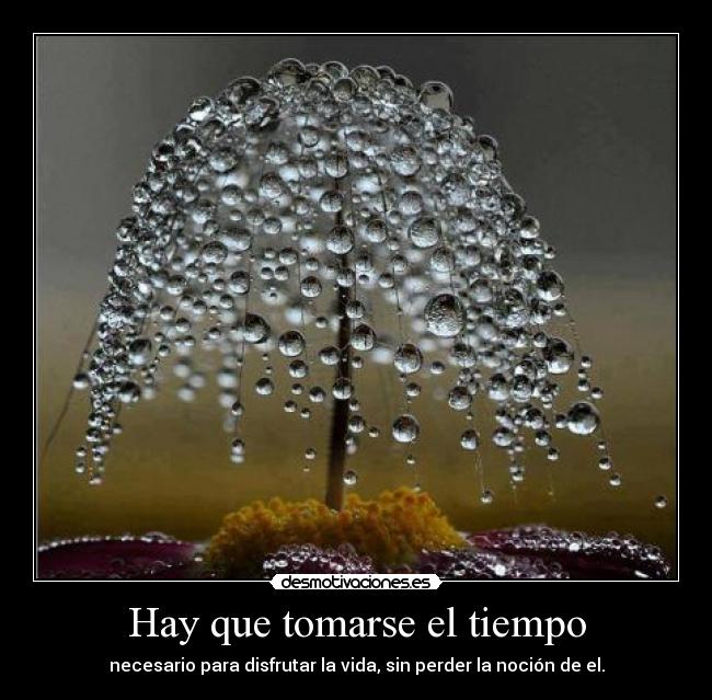 Hay que tomarse el tiempo - necesario para disfrutar la vida, sin perder la noción de el.