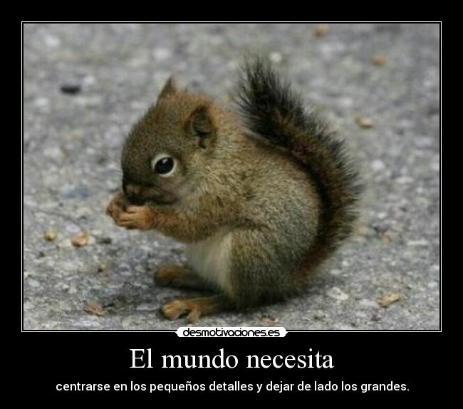 carteles mundo ardillaaaaa desmotivaciones