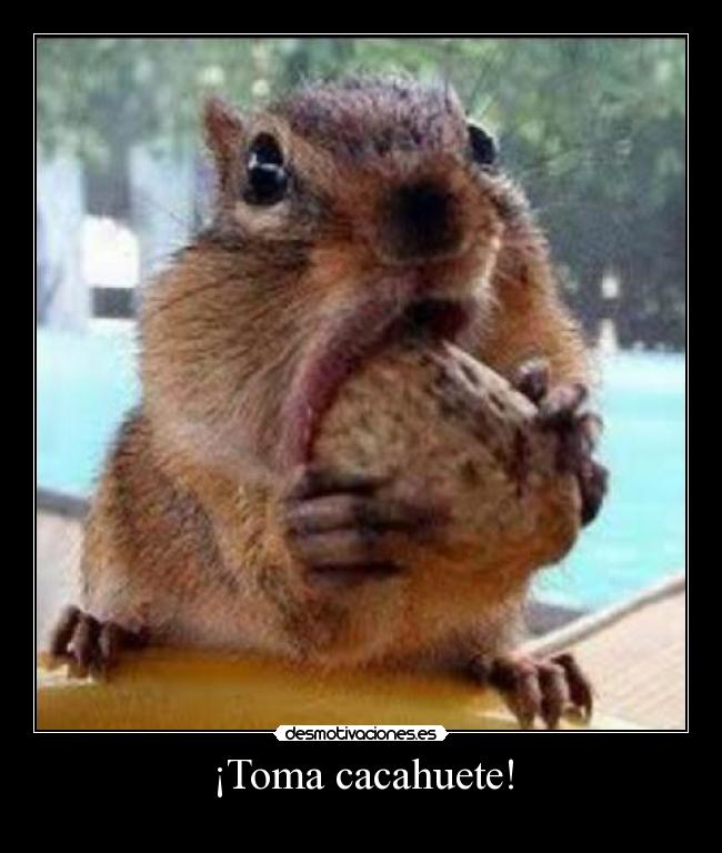 ¡Toma cacahuete! -