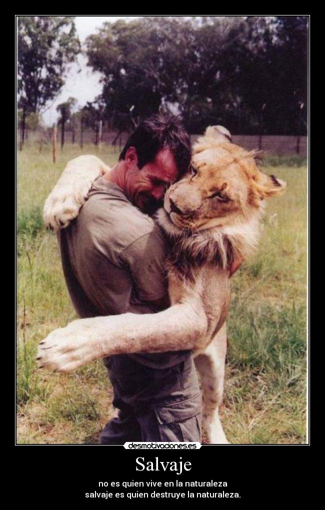 Salvaje - no es quien vive en la naturaleza
salvaje es quien destruye la naturaleza.