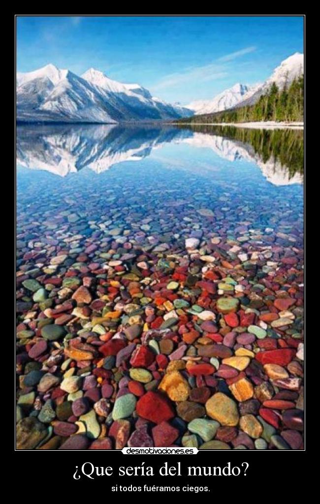¿Que sería del mundo? - si todos fuéramos ciegos.