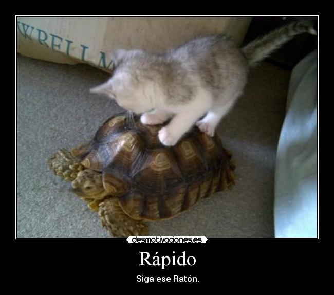 Rápido - Siga ese Ratón.