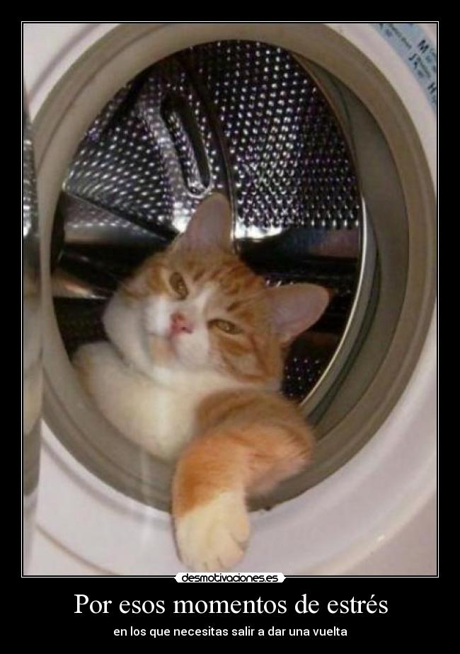 carteles literal desmotivaciones