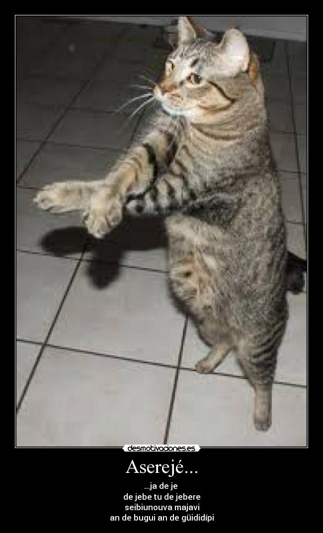 Imágenes y Carteles de ASEREJE | Desmotivaciones