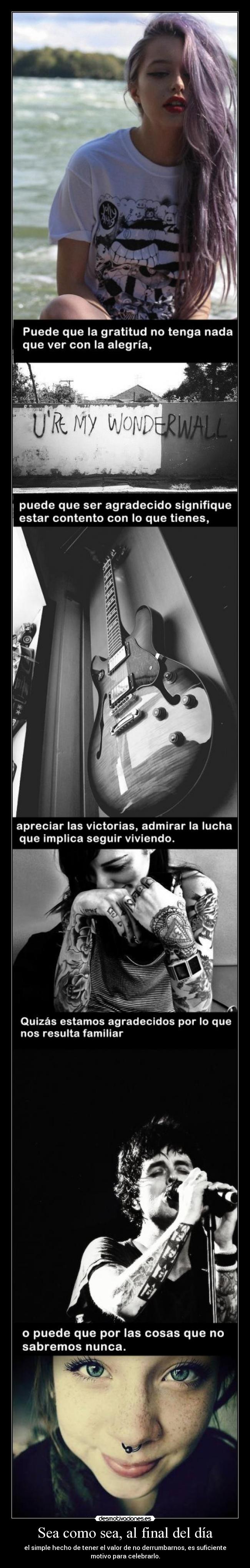 carteles coldblood anatomia grey desmotivaciones