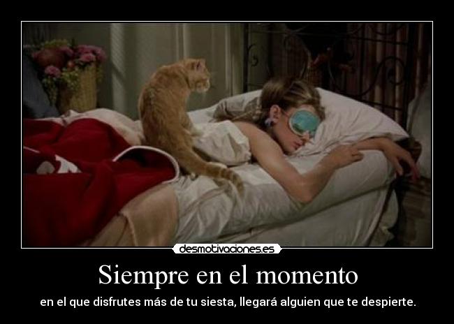 Siempre en el momento - en el que disfrutes más de tu siesta, llegará alguien que te despierte.
