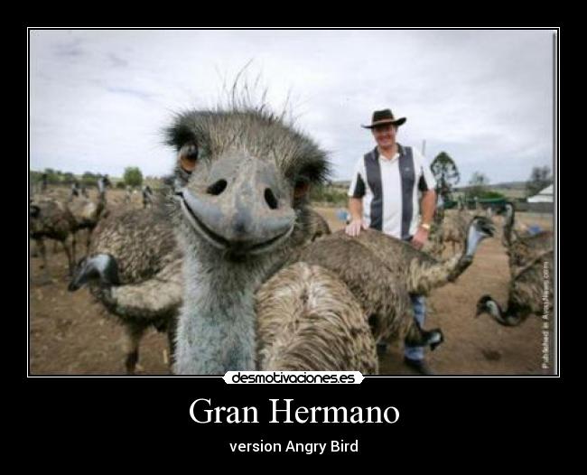 Gran Hermano - 