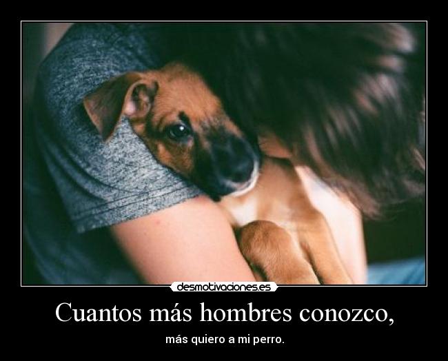 Cuantos más hombres conozco, - más quiero a mi perro.