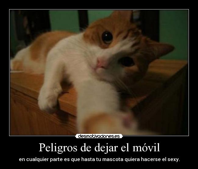Peligros de dejar el móvil -