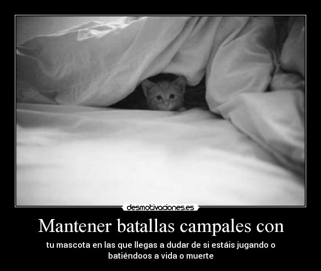 Mantener batallas campales con -