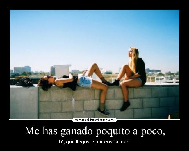Me has ganado poquito a poco, - tú, que llegaste por casualidad.