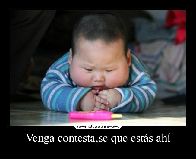 Venga contesta,se que estás ahí - 