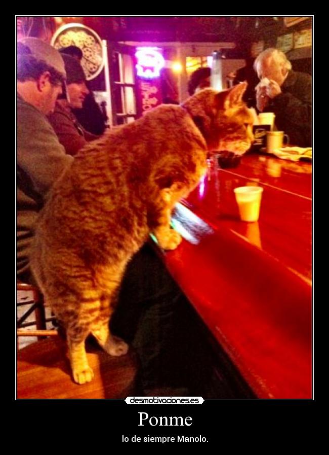 Ponme - lo de siempre Manolo.