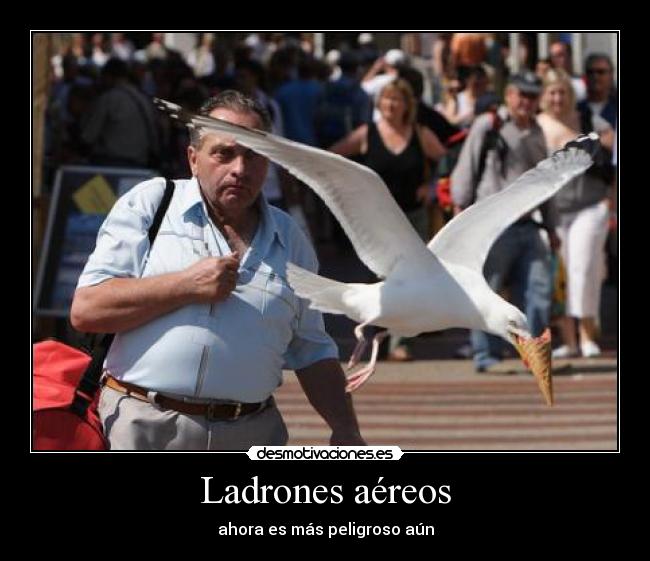 carteles ave desmotivaciones