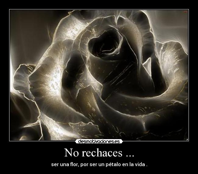 No rechaces ... - ser una flor, por ser un pétalo en la vida .