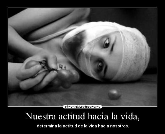 Nuestra actitud hacia la vida, - determina la actitud de la vida hacia nosotros.