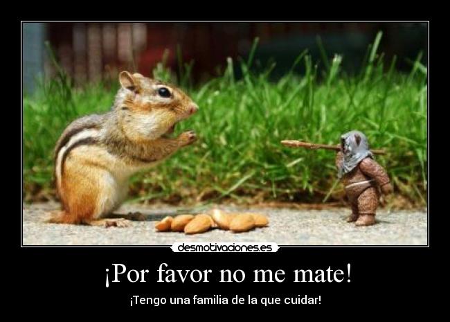¡Por favor no me mate! -