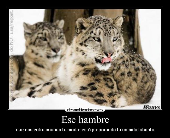 Ese hambre - 
