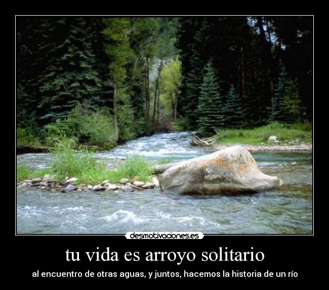 tu vida es arroyo solitario - al encuentro de otras aguas, y juntos, hacemos la historia de un río