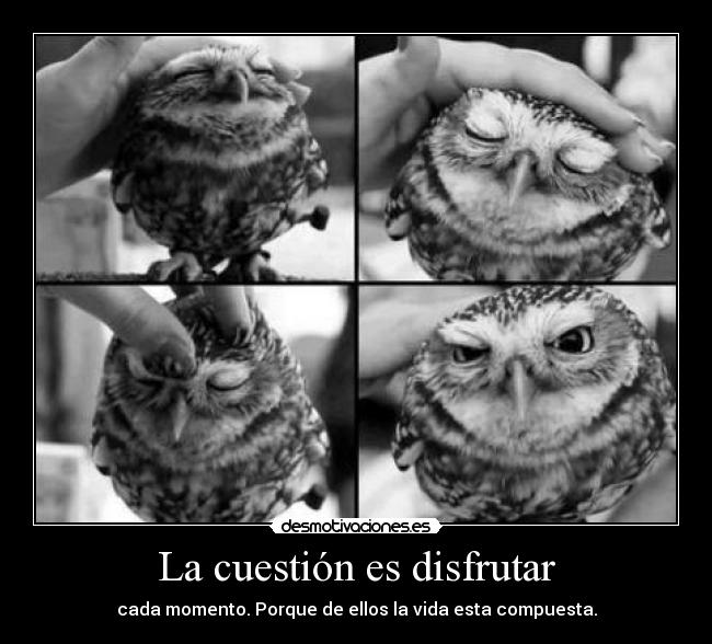 La cuestión es disfrutar -