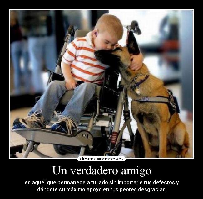 Un verdadero amigo - 