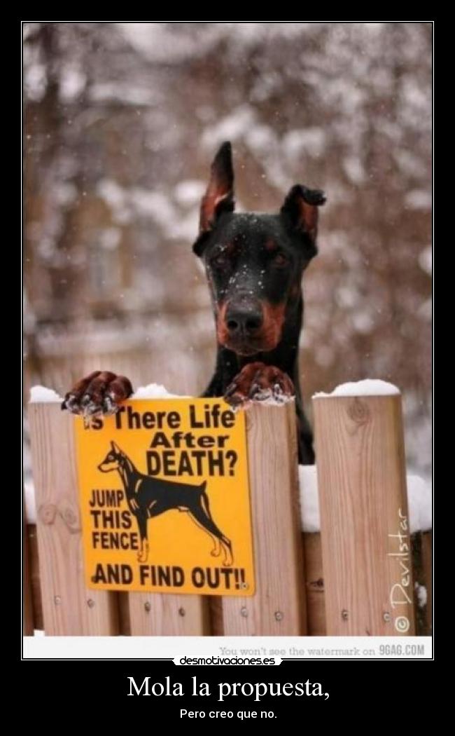 Mola la propuesta, - Pero creo que no.