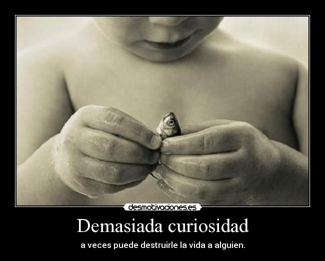 Demasiada curiosidad - a veces puede destruirle la vida a alguien.