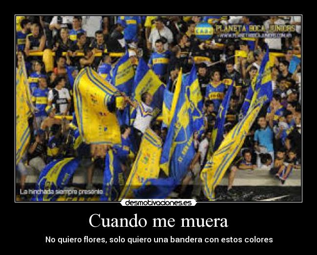 carteles ytttttytyii desmotivaciones