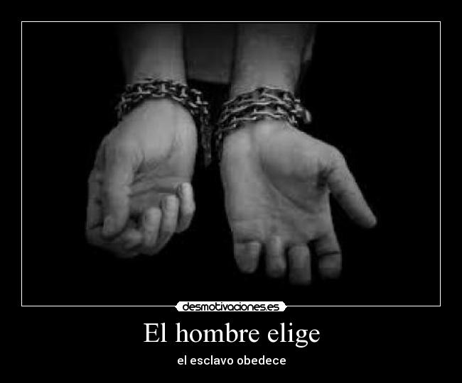 El hombre elige -