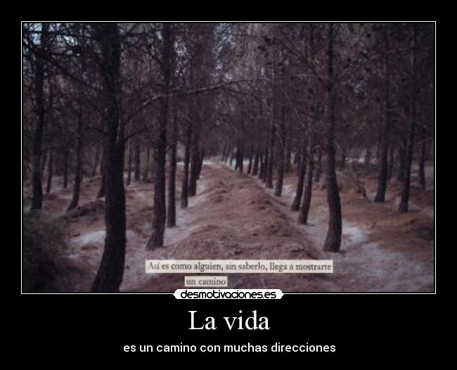 La vida - es un camino con muchas direcciones