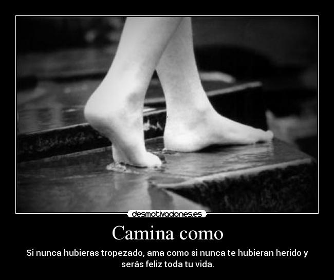 Camina como - Si nunca hubieras tropezado, ama como si nunca te hubieran herido y
serás feliz toda tu vida.