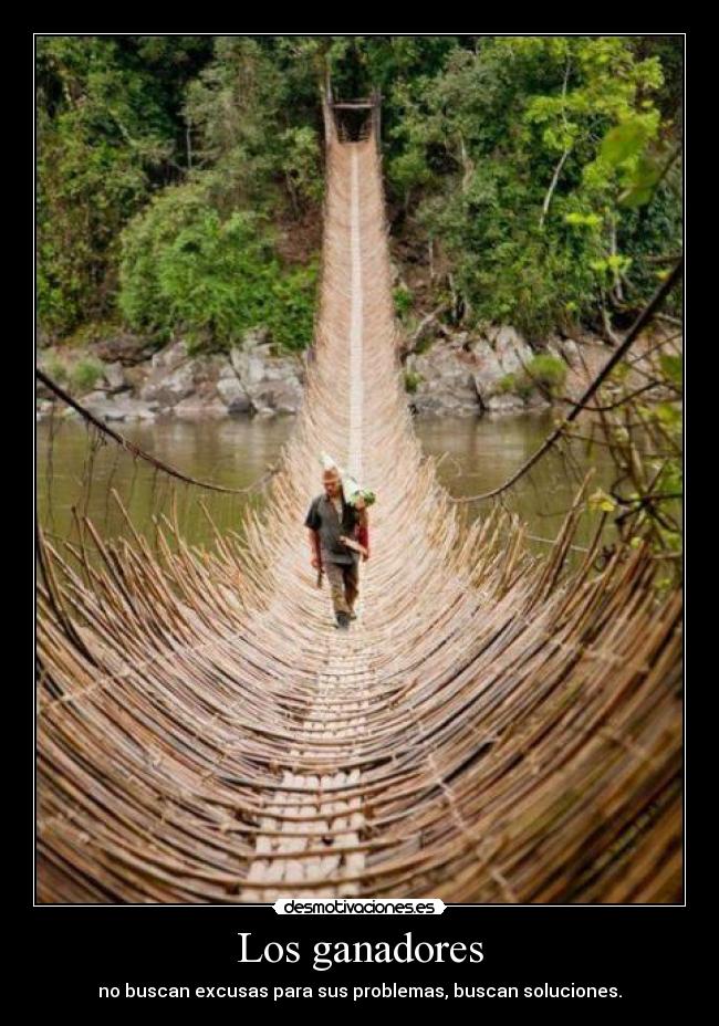 carteles ganadores perdedores desmotivaciones