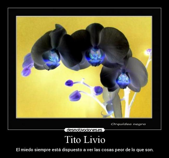 Tito Livio - El miedo siempre está dispuesto a ver las cosas peor de lo que son.